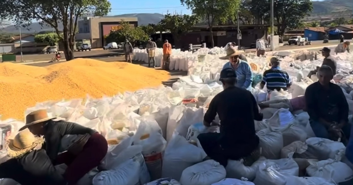 BARRO ALTO COLHE RESULTADOS DE INVESTIMENTOS NA AGRICULTURA FAMILIAR